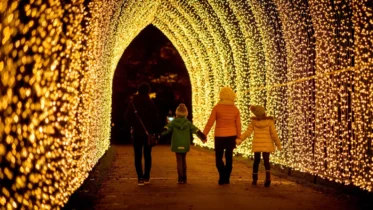 Is Christmas at Kew Worth It